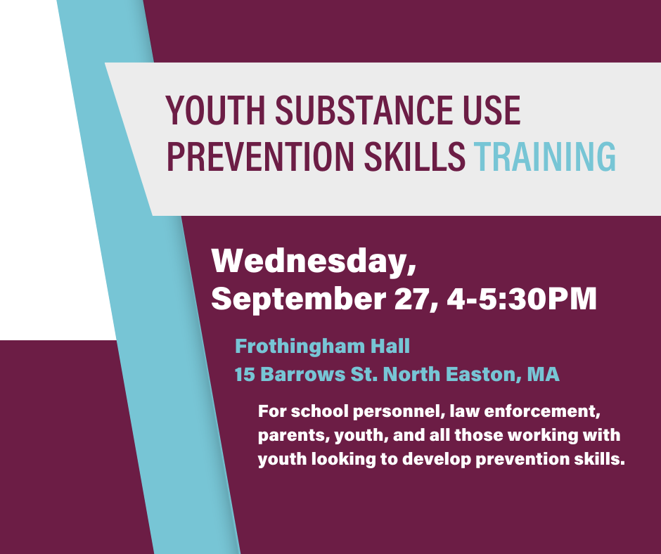 Youth Substance Use Prevention Skills Training